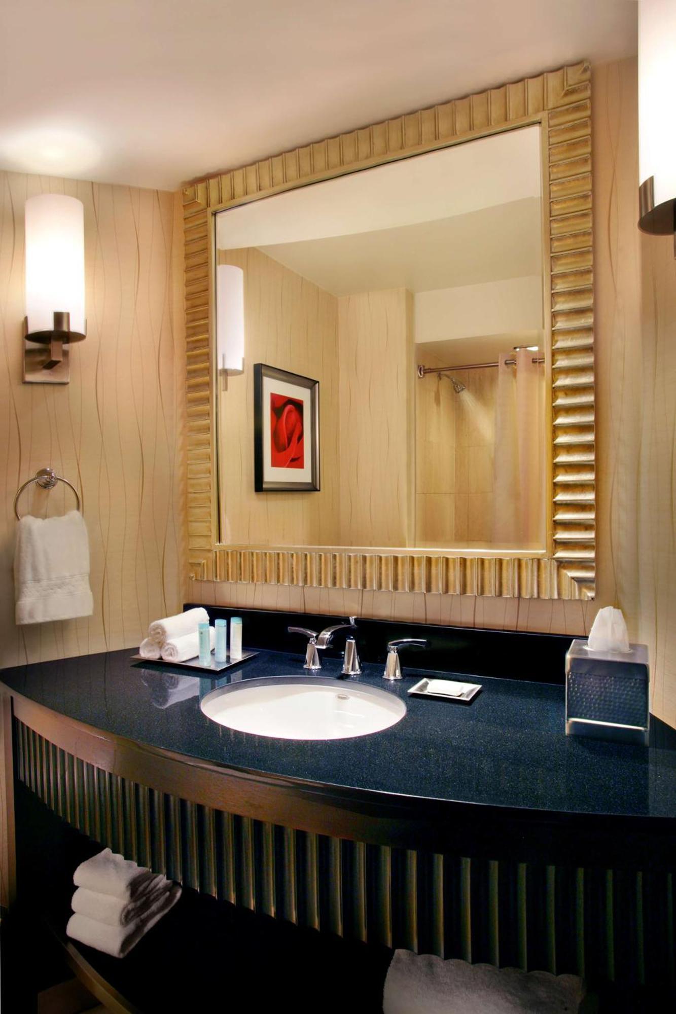 Отель Hilton Rosemont Chicago O'Hare Экстерьер фото